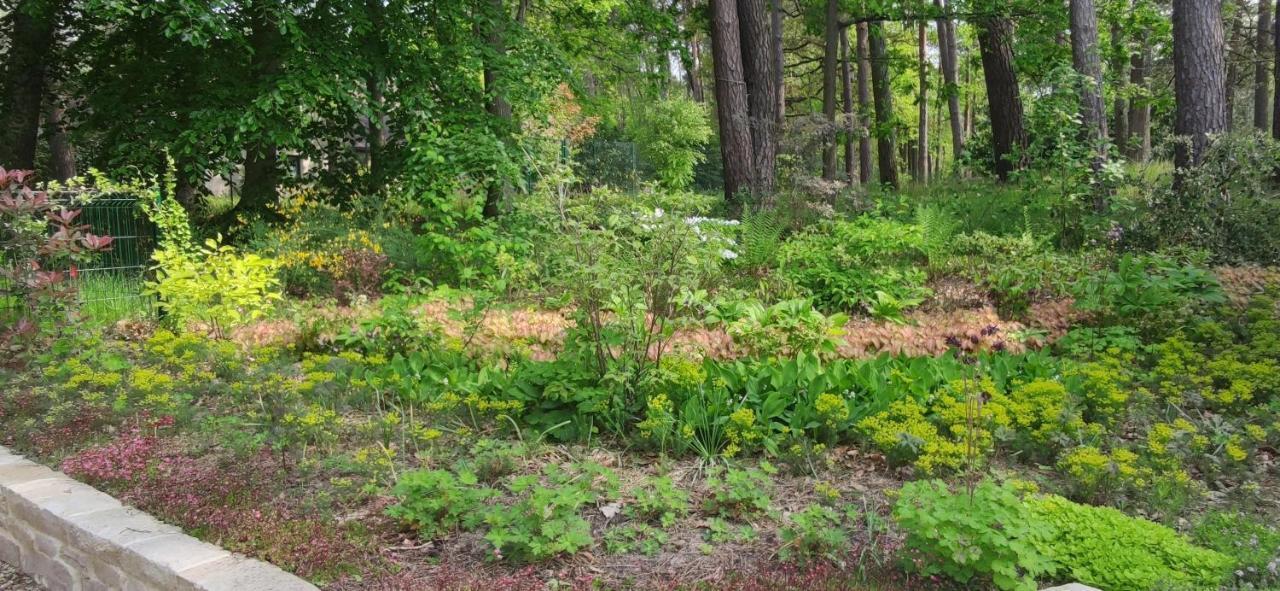 Maison Daubigny Corne-Biche エクステリア 写真